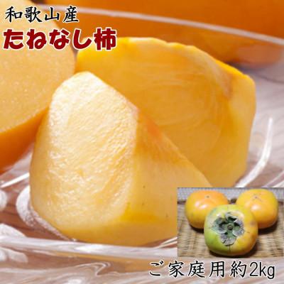 ふるさと納税 紀の川市 [2026年度発送分][秋の味覚]和歌山産のたねなし柿約2kg(ご家庭用)