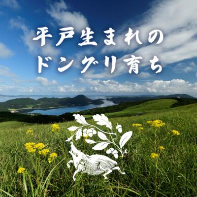 ふるさと納税 佐世保市 平戸いのしし バラ肉 焼肉・すき焼き・ぼたん鍋用 スライス(300g) |  | 01