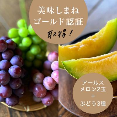 ふるさと納税 津和野町 [2026年9月より順次発送・先行受付]アールスメロン2L2玉+ぶどう3種のフルーツ堪能セット