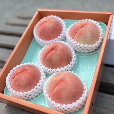 ふるさと納税 紀の川市 あら川の桃1.5Kg(5-7玉入り)【2026年 6月下旬から順次発送予定】の画像