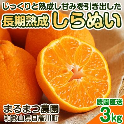 ふるさと納税 九度山町 [2026年5月順次発送]濃厚なコクと甘さ 長期熟成しらぬい 3kg 農家直送 和歌山県産