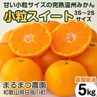 ふるさと納税 九度山町 [2025年12月順次発送]濃厚完熟 木成り温州みかん 小粒スイート 5kg 和歌山県産