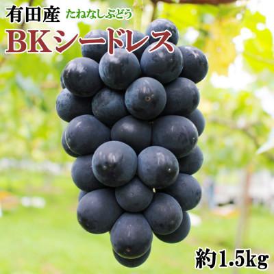ふるさと納税 有田川町 [新鮮・産直]和歌山県有田巨峰村の朝採れBKシードレス約1.5kg