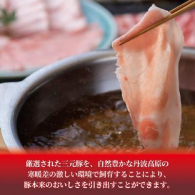 ふるさと納税 京都府 【鍋セット2人前】特製出汁で味わう 京丹波高原豚と九条ねぎの豚しゃぶセット お取り寄せグルメ |  | 02