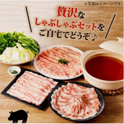 ふるさと納税 京都府 【鍋セット2人前】特製出汁で味わう 京丹波高原豚と九条ねぎの豚しゃぶセット お取り寄せグルメ |  | 03