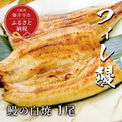 ふるさと納税 藤井寺市 [鰻セレブ]鰻の白焼 1尾