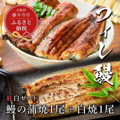ふるさと納税 藤井寺市 [鰻セレブ]紅白セット 鰻の蒲焼1尾×白焼1尾