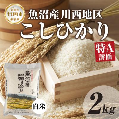 ふるさと納税 十日町市 [令和7年産] 魚沼産 川西 こしひかり 2kg 精米 新潟県産 お米 産地直送 十日町