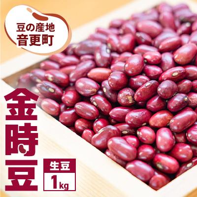 ふるさと納税 音更町 豆の産地 おとふけ「金時豆」1kg 令和7年産[B105]