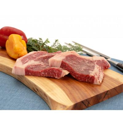 ふるさと納税 宇城市 熊本県産 あか牛 ステーキ500g(250g×2枚)(宇城市)