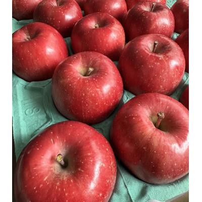 ふるさと納税 盛岡市 [盛岡りんご] 田村ふぁーむ盛岡市産りんご[家庭用]サンふじ 5kg