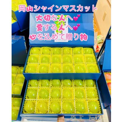 ふるさと納税 岡山市 [先行受付2026年7月中旬から発送シャインマスカットJEWELBOX]大切な人愛する人への贈り物