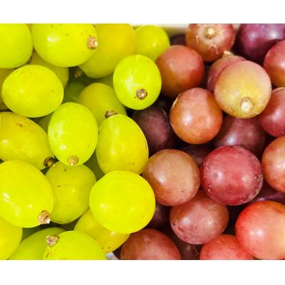 6 山梨県産 クインニーナ 我が道 シャインマスカット 2kg 商品の説明