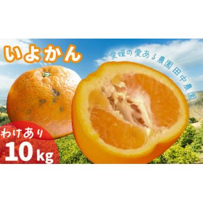 ふるさと納税 松山市 [1月中旬から順次発送] [訳あり] 伊予柑 いよかん 約10kg