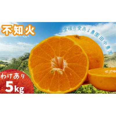 ふるさと納税 松山市 [2月下旬から順次発送][訳あり]不知火 しらぬい 約5kg