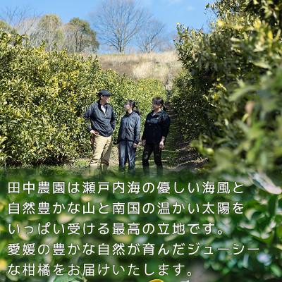 ふるさと納税 松山市 【2月下旬から順次発送】【訳あり】不知火 しらぬい 約5kg |  | 02