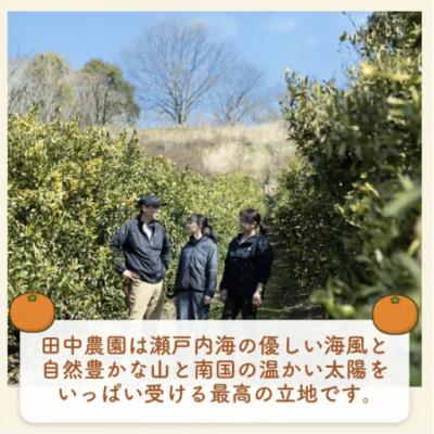 ふるさと納税 松山市 【2月下旬から順次発送】【家庭用】不知火 しらぬい 約5kg |  | 02