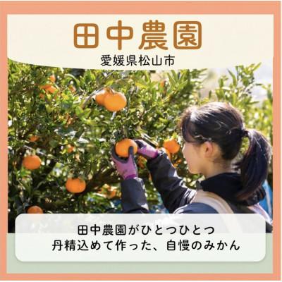 ふるさと納税 松山市 【2月下旬から順次発送】【家庭用】不知火 しらぬい 約5kg |  | 03