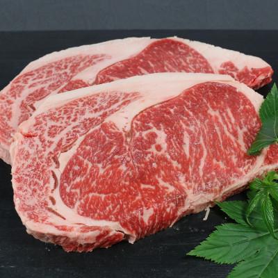 ふるさと納税 宇土市 氷温熟成 黒毛和牛ロースステーキ 400g(宇土市)