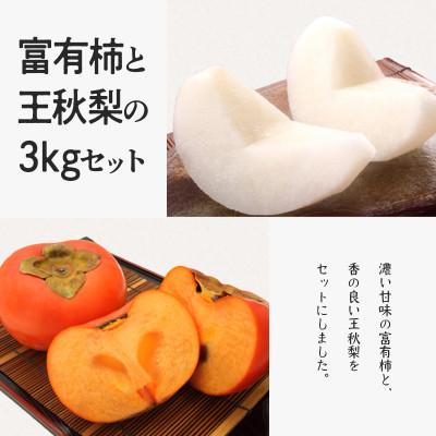 ふるさと納税 北栄町 富有柿と王秋梨 秀3kgセット