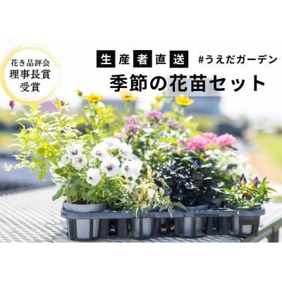 ふるさと納税 稲美町 [生産者直送]季節の花苗おまかせセット 5種類以上10ポット以上