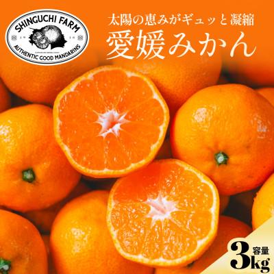 ふるさと納税 八幡浜市 [太陽の旨みがギュッと凝縮]愛媛みかん3kg 農家直送 愛媛県川上産[C70-59]