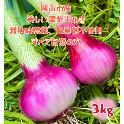 ふるさと納税 岡山市 [先行受付2026年5月から順次発送]岡山市産赤紫玉ねぎ3kg(サイズ混合)全て自然の力健康野菜