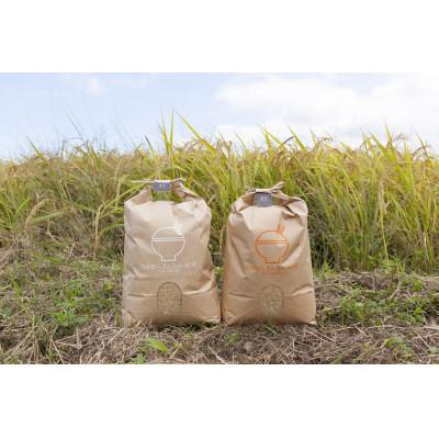 ふるさと納税 あさぎり町 令和7年産 熊本県産くまさんの輝き(白米)(10キロ)