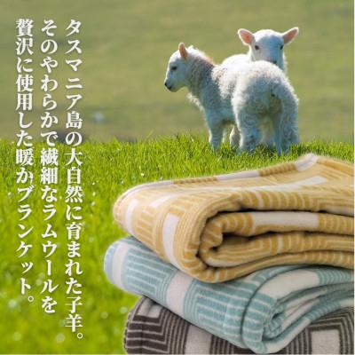 タスマニアラムウールふわふわ毛布 未使用 ふるさと納税 和泉市 【セミダブルサイズ】洗えるタスマニアラムウール