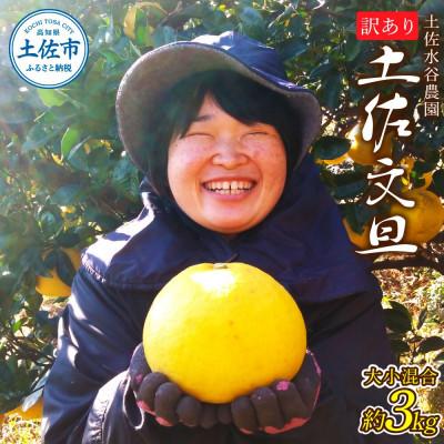 ふるさと納税 土佐市 化学合成農薬栽培期間中不使用 土佐水谷農園の土佐文旦 3kg(5個前後) 家庭用訳あり品