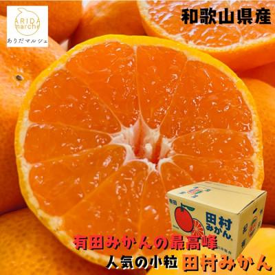 ふるさと納税 湯浅町 ≪先行予約≫有田みかんの最高峰 小粒田村みかん 2S・3Sサイズ 秀品 約10kg