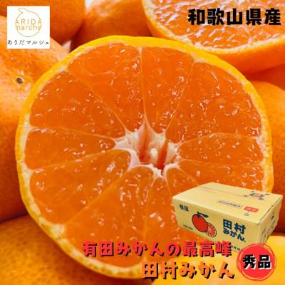 ふるさと納税 湯浅町 有田みかんの最高峰 プレミアムブランド 田村みかん Sサイズ 秀品 約5kg