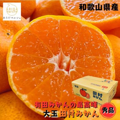 ふるさと納税 湯浅町 有田みかんの最高峰 太玉田村みかん 2L・3Lサイズ 秀品 約5kg