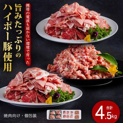 ふるさと納税 周南市 山口県産豚肉盛り合わせ4.5kg 旨みたっぷりのハイポー豚