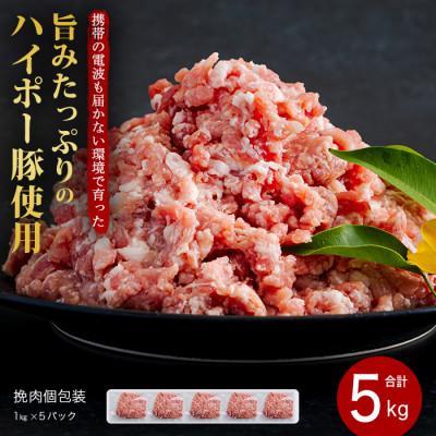 ふるさと納税 周南市 山口県産豚挽肉1kg×5パック小分けセット 旨みたっぷりのハイポー豚