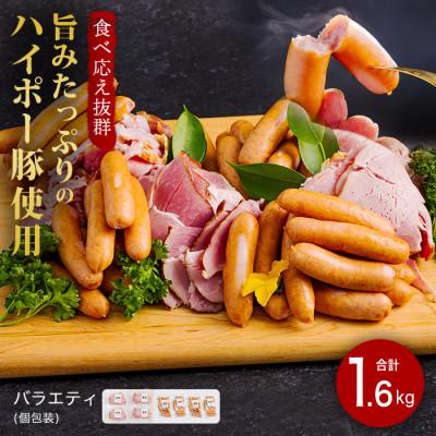 ふるさと納税 周南市 ハム・ソーセージ食べ比べ1.6kg 旨みたっぷりのハイポー豚