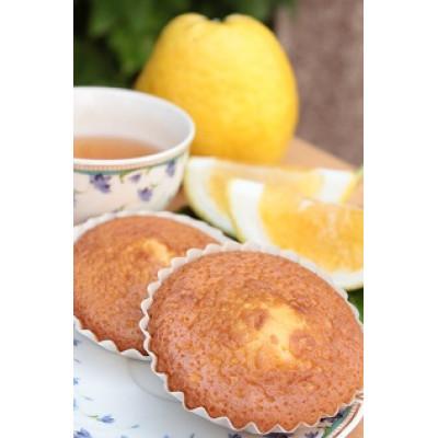 ふるさと納税 大牟田市 天草晩柑マドレーヌ(15個入り) : Yahoo