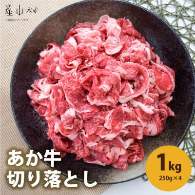 ふるさと納税 産山村 熊本県産 あか牛 切落し 1kg(250g×4パック)