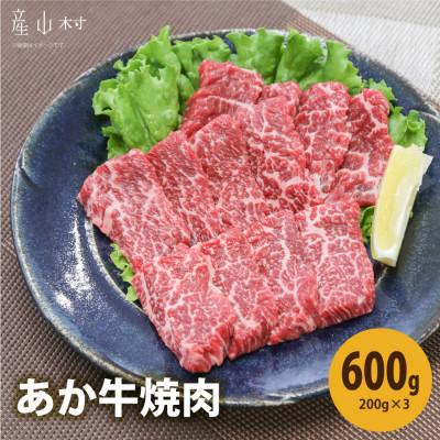ふるさと納税 産山村 熊本県産 あか牛 焼肉600g