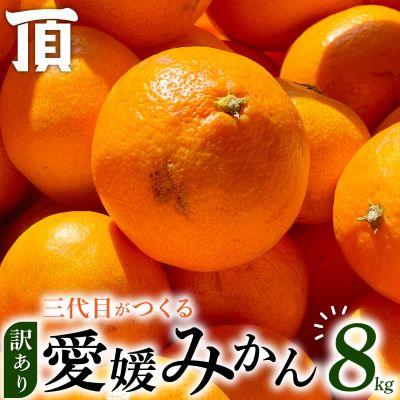 ふるさと納税 八幡浜市 【訳あり(家庭用)】三代目がつくる愛媛みかん 8kg【C31-40】 | 