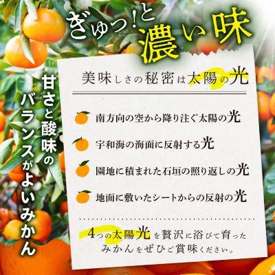 ふるさと納税 八幡浜市 【訳あり(家庭用)】三代目がつくる愛媛みかん 8kg【C31-40】 |  | 01