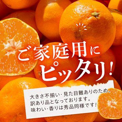 ふるさと納税 八幡浜市 【訳あり(家庭用)】三代目がつくる愛媛みかん 8kg【C31-40】 |  | 02