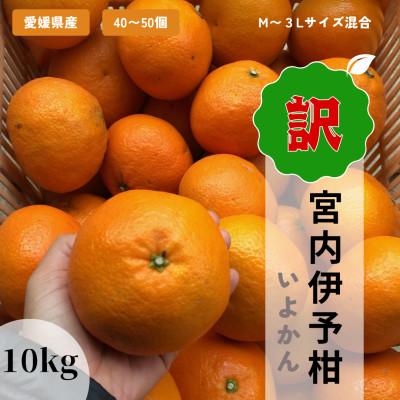 ふるさと納税 松山市 訳あり家庭用いよかん