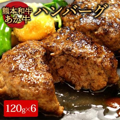 ふるさと納税 阿蘇市 あか牛100%ハンバーグセット (あか牛ハンバーグ120g×6個)(阿蘇市)