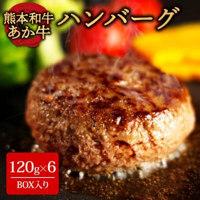 ふるさと納税 阿蘇市 くまモンあか牛ハンバーグセット (あか牛ハンバーグ120g×6個)(阿蘇市)