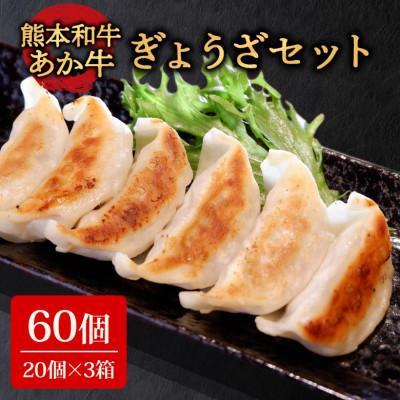 ふるさと納税 阿蘇市 熊本和牛あか牛ぎょうざ60個(あか牛ぎょうざ20個入り×3箱)(阿蘇市)