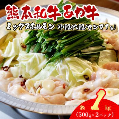 ふるさと納税 阿蘇市 熊本和牛あか牛ホルモン1kg(500g×2)(阿蘇市)