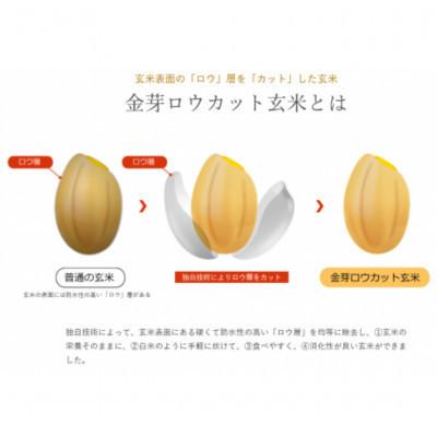 ふるさと納税 田尻町 【8kg】金芽ロウカット玄米 8kg(2kg×4袋)ふっくら柔らかい美味しさ! |  | 02