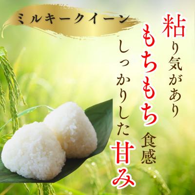 ふるさと納税 小浜市 令和8年産【新米】　福井県産ミルキークイーン　白米10kg |  | 01