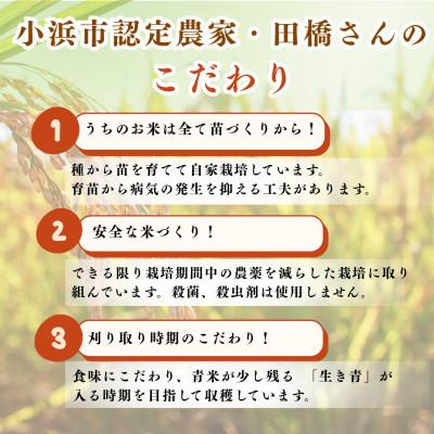 ふるさと納税 小浜市 令和8年産【新米】　福井県産ミルキークイーン　白米10kg |  | 02